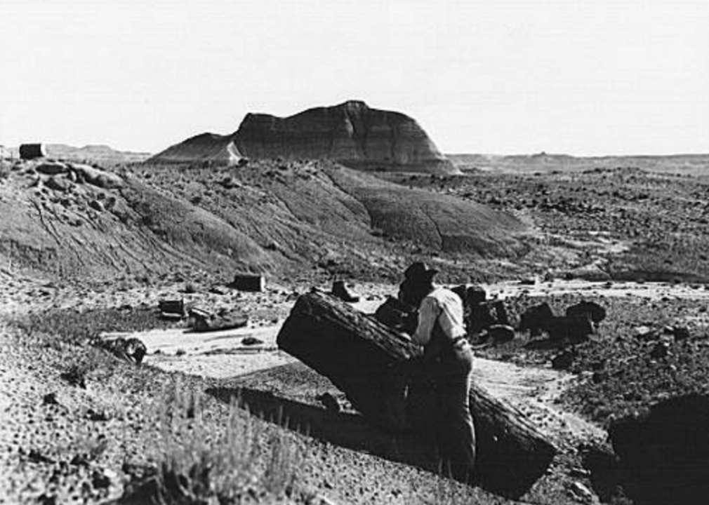 Petrified Forest